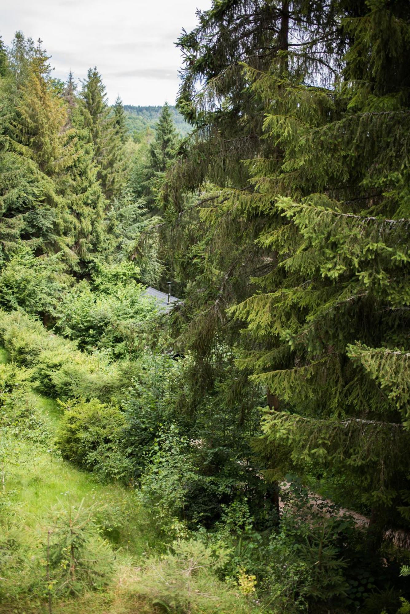Lesna Kokava Vila Kokava na Rimavica Exterior foto